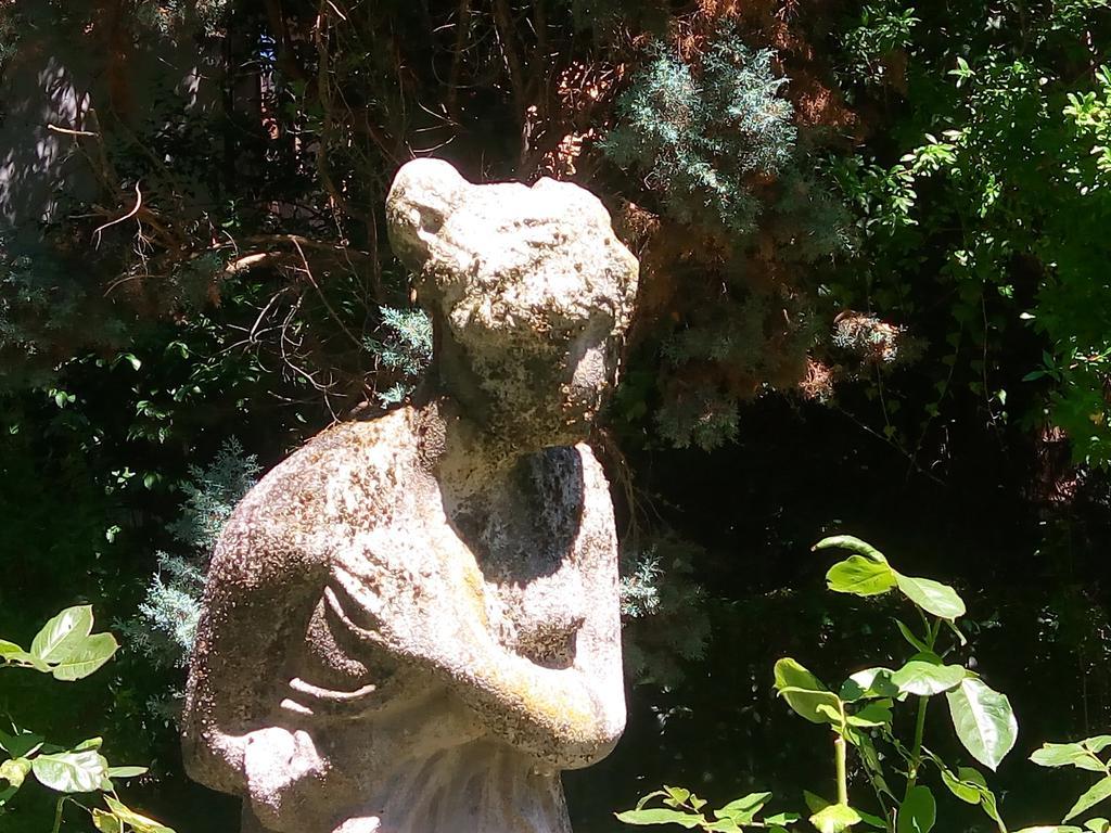 Allegri Von Ghega Venice
